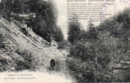 88 SAINT ETIENNE LES REMIREMONT / Chemin Du Saint Mont / UN CHIEN - Saint Etienne De Remiremont