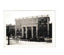 USA - NEW YORK  -  L'Angel Memorial Hospîtal " Hôpital Pour Animaux   En 1929 - Photo - Vétérinaire (B333) - América