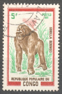 Eastern Gorilla - Gorilla Beringei - Congo Republic Brazzaville 1971 1972 - Used / MONKEY - Gorilles