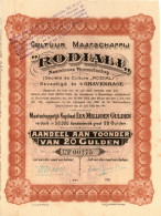 Cultuur Maatschappij RODIALI N.V. - Aandeel 20 Gulden - S Gravenhage 1923 Indonesia - Landwirtschaft