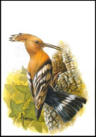 Carte Maximum / Maximum Kaart** - 3200 - BUZIN - Huppe Fasciée / Hop Vogel / Wiedehopf / Hoopoe / Upupa Epops - Spechten En Klimvogels