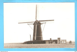 Venray Molen Foto/repro ML3184 - Venray