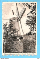 Rhenen Molen Aan De Oude Stadswallen 1939 RY56595 - Rhenen