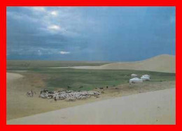 2 CPSM/gf MONGOLIE.  Ail In Gobi...*2351 - Mongolia