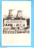 Dordrecht Molen Groote Dordtsche Boer Repro ML2071 - Dordrecht