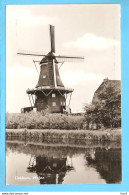 Dokkum Molen RY56726 - Dokkum