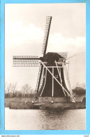 Dokkum Molen Aan Geestmermeer ML1527 - Dokkum