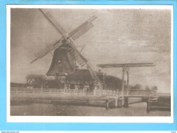 Dokkum Schapendijkje Molen Repro/foto ML1722 - Dokkum