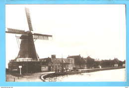 Dokkum Molen Repro/foto ML1571 - Dokkum