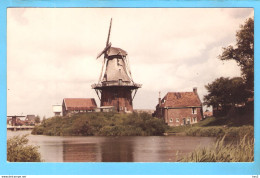 Dokkum Molen Repro/foto ML1540 - Dokkum