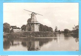 Dokkum Molen Repro/foto ML1589 - Dokkum