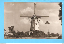 Cadzand Molen Nooitgedacht RY56462 - Cadzand