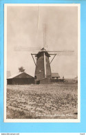 Baarle Nassau Molen  RY56624 - Baarle-Hertog