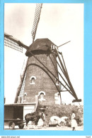 Baarle Hertog Molen Van Loots RY56571 - Baarle-Hertog