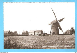 Baarle-Nassau Hertog Molen Alphenseweg RY56688 - Baarle-Hertog