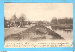 Apeldoorn Dierenschekanaal Met Molen 1902 RY56308 - Apeldoorn