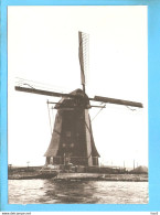 Alphen Rijn Molen Polder Vrouwgeest Repro ML2095 - Alphen A/d Rijn