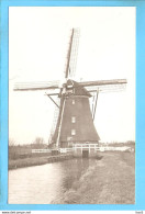 Alphen A D Rijn Molen Foto/repro ML1957 - Alphen A/d Rijn