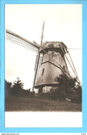 Aalsmeer Molen De Zwarte Ruiter Foto/repro ML2867 - Aalsmeer