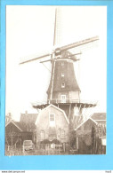 Aalsmeer Molen De Leeuw Foto/repro ML2862 - Aalsmeer