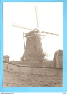 Aalsmeer Molen Foto/repro ML2974 - Aalsmeer