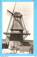 Aalsmeer Molen De Korenschoof Foto/repro ML2864 - Aalsmeer