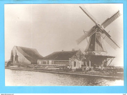 Franeker Molen De Mol Repro/foto ML1779 - Franeker