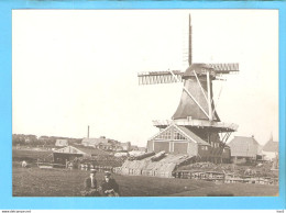 Franeker Molen Van De Wint Repro/foto ML1780 - Franeker