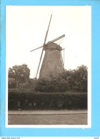 Ede Molen Repro ML2343 - Ede