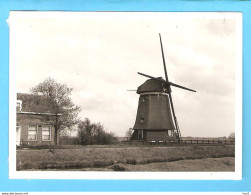 Edam Molen Foto/repro ML2831 - Edam