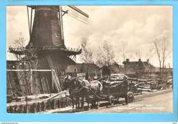 Dordrecht Paard En Wagen Molen Nachtegaal RY55958 - Dordrecht