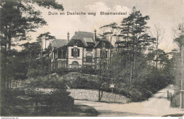 Bloemendaal Duin En Daalsche Weg RY58017 - Bloemendaal