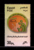 EGYPT / 2006 / General Census Of Population, Housing And Territory / MNH / VF . - Ongebruikt