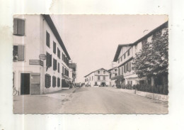 1541. Urrugne, Place De L'Eglise - Urrugne