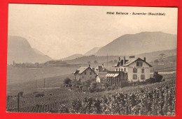 ZWN-05  Hotel Bellevue à  Auvernier  Et Le Vignoble. Carte-photo. NC - Auvernier