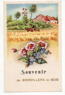 Cpa    " Souvenir De Bienvillers Au Bois " ( Paysage Champs Et Charette ) - Souvenir De...