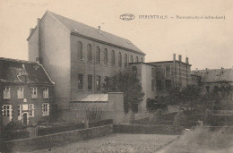 Herenthals / Herentals : Normaalschool ( Achterkant ) - Herentals