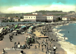 FANO - SPIAGGIA - EDIZIONE CIAVEGLIA - SPEDITA  1958 (17603) - Fano