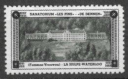 Sanatorium "les Pins" De Dennen Femmes Vrouwen LA HULPA WATERLOO  VIGNETTE Reklamemarke CINDERELLA Erinnophilie - Erinnofilia