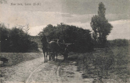 Laren Naar Huis Paard En Wagen ZW173 - Laren (NH)