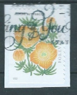 VERINIGTE STAATEN ETATS UNIS USA 2022 MOUNTAIN FLORA: ALPINE BUTTERCUP P. 10¾ X 11 F USED PAPER SN 5678 MI  YT 5512A SN - Used Stamps