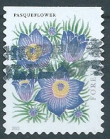 VERINIGTE STAATEN ETATS UNIS USA 2022 MOUNTAIN FLORA: PASQUEFLOWER P. 10¾ X 11 F SN 5676 MI  YT 5510A - Usati