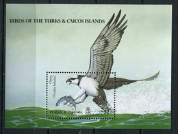 Turcks Et Caiques ** Bloc  88 - Oiseaux - Aigle Pêcheur - Kolibries
