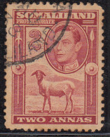 2d  Somaliland Protectorate Used 1938, Portrait To Left, Farm Animal, Sheep - Somaliland (Protectorat ...-1959)