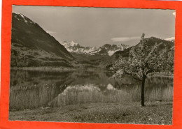 SANERSESEE MIT BRÜNIG U. BERNER ALPEN - (Verlag Foto Stump..) - Bern