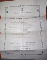 PAGELLA SCUOLA FEMMINILE ANNO 1905 - Diplômes & Bulletins Scolaires