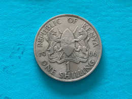Münze Münzen Umlaufmünze Kenia 1 Shilling 1966 - Kenya