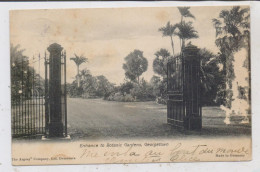 BRITISH - GUAYANA - GEORGETOWN, Botanic Gardens, 1906, Oberflächenmängel - Britisch-Guayana