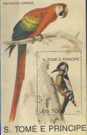 MDB-BK4-573 MINT ¤ ST TOME 1992 BLOCK ¤ PARROTS - BIRDS OF THE WORLD - OISEAUX - BIRDS - PAJAROS - VOGELS - VÖGEL - - Specht- & Bartvögel