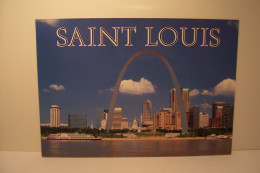 SAINT  LOUIS  - Photo : James Blank  - ( Pas De Reflet Sur L'original ) - No Paypal - - St Louis – Missouri